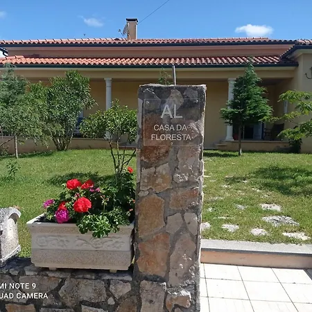 Casa Da Floresta Santiago da Guarda Zewnętrze zdjęcie