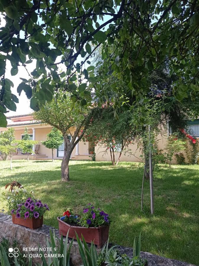 Casa Da Floresta Casa vacanze Santiago da Guarda